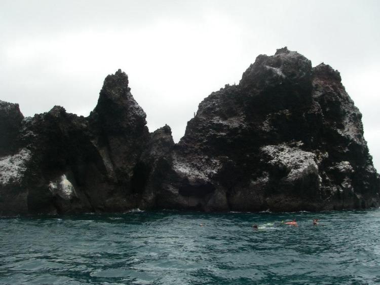 Devil's crown, Floreana, Galapagos Islands