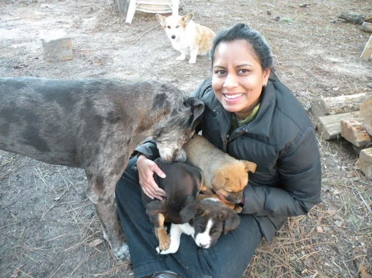 Proud Spirit Rescued Pups