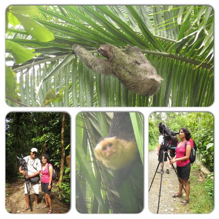 Manuel Antonio Collage